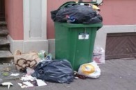 У Ківерцях на 2,5 тисячі жителів міста припадає лише один смітник