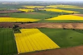 Волинські землевпорядники зареєстрували понад 9 тисяч земельних ділянок