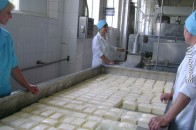 Волинські правоохоронці порушили справу через приватизацію очисних споруд Рожищенського сирзаводу