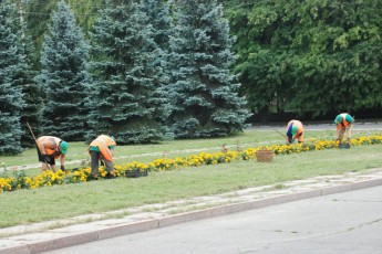 На Волині взялися за озеленення усіх населених пунктів