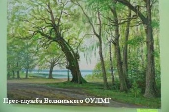 На Волині стартувала виставка художників, які презентували своє бачення лісів та озер
