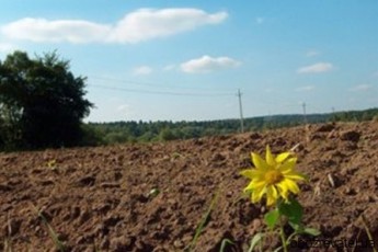 На рахунках волинських землевпорядників виявилось 3,7 мільйонів зайвих коштів