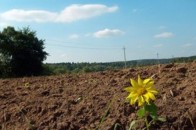 На рахунках волинських землевпорядників виявилось 3,7 мільйонів зайвих коштів