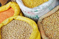 Волинь експортувала понад 95 тисяч тонн зерна з початку цього року