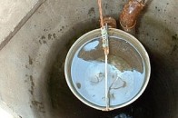 В одному з житлових масивів Луцька люди виловлюють фекалії