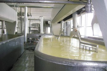 Український холдинг поглине Рожищенський сирзавод