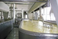 Український холдинг поглине Рожищенський сирзавод