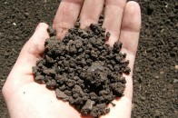 Середня ціна волинської землі - 526 гривень за гектар