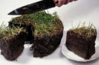 З Шацького РТП стягують майже 41 тисячу гривень через нецільове використання землі