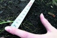 На Волині за три місяці зареєстрували більше 10 тисяч земельних ділянок
