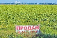За два роки площа волинських земель, які не використовуються, зменшилася на 80 тисяч гектарів