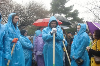 Мер Луцька на чолі з приватбанківцями озеленив місцевий парк