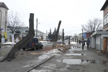 У Ківерцях протизаконно вирубують дерева?
