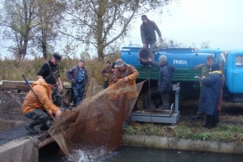 Керівництво рибгоспу на Волині заявляє, що новий власник доводить підприємство до банкрутства