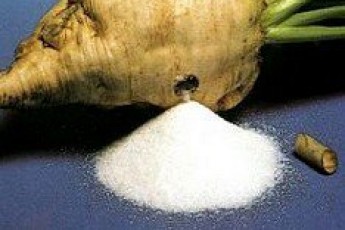 На Волині засіють 7,5 тисяч гектарів цукрового буряку