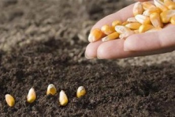 На Волині планові перевірки заважають фермерам закінчити сівбу вчасно
