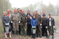 В Рожищенському районі лісники та добровольці висадили плантацію лісу