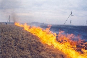 Волинські села потерпають від спалювання сухої трави