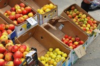 У Луцьку відбувся ще один передвеликодній ярмарок