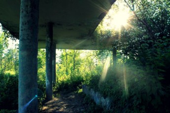 Старе кафе «Черемшина», що у Центральному парку Луцька, хочуть відновити?