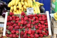 Волинських «комерсантів» змушуватимуть придбати патент на період сезонної торгівлі