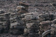 Волинські депутати бояться відбирати торфовища у  ТзОВ «Зелена Енергія В»?