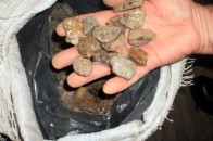 На Волині судили чоловіків, які намагалися незаконно видобути бурштин