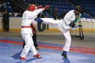 Волинські рукопашники вибороли призові місця на Чемпіонаті України