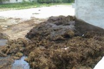 На Волині селяни забарикадували дорогу через купу гною