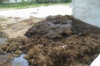 На Волині селяни забарикадували дорогу через купу гною
