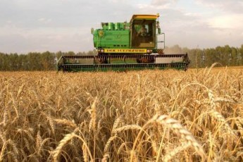З початку року волинські аграрії виробили продукції на 922 мільйони гривень