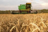 З початку року волинські аграрії виробили продукції на 922 мільйони гривень