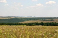 Головний землевпорядник Волині закликав не виснажувати угіддя