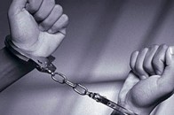 Луцькі правоохоронці затримали двох 30-річних грабіжників