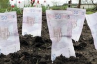 З початку року волиняни отримали 500 тисяч гривень за оренду землі
