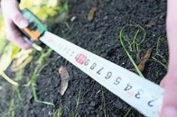 Волинське підприємство намагалося відсудити землю у міської ради