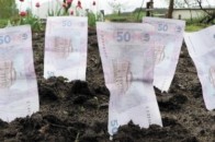 Волинські землевласники з початку року заробили на оренді землі понад півмільйона гривень