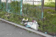 Хто розчистить чагарник довкола офісу луцьких правоохоронців і соцпрацівників?
