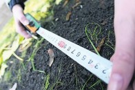 Депутати Луцькради продовжують оптом «дерибанити» землю