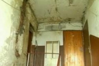У Луцьку, в одному з будинків «забуяла» пліснява