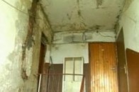 У Луцьку, в одному з будинків «забуяла» пліснява