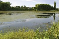 Луцькі депутати відмовились створювати на Теремнівських ставках громадський пляж