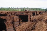 Депутати Волиньради не захотіли відбирати у кіпріотів торфовища
