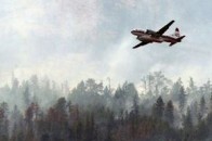 Над волинськими лісами улітку літатиме АН-2
