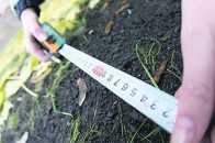 На Волині проекспертували 7 земельних ділянок державної власності, які виставлять на продаж