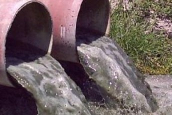 «Ковельмолоко» забруднює річку Турію відходами від власного виробництва?