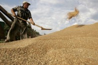 Волинські аграрії створили комфортні умови для роботи молодих спеціалістів