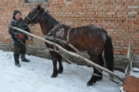 Волинянин намагався саньми перевезти до Білорусі партію устілок