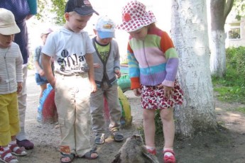На Волині врятували маленьке совеня