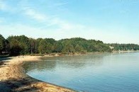 Український нардеп незаконно привласнив ділянку землі на Світязі